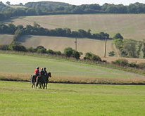 220px-Jockeys_training_racehorses_on_the_gallops,_Lambourn,_Berkshire.jpg