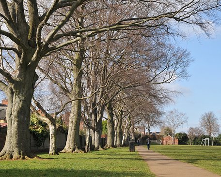 Public-Open-Space-in-Wellingborough.jpg